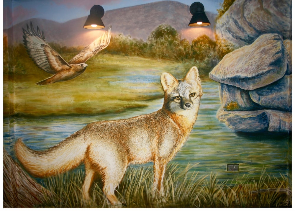 Hotel Flora & Fauna 40/50