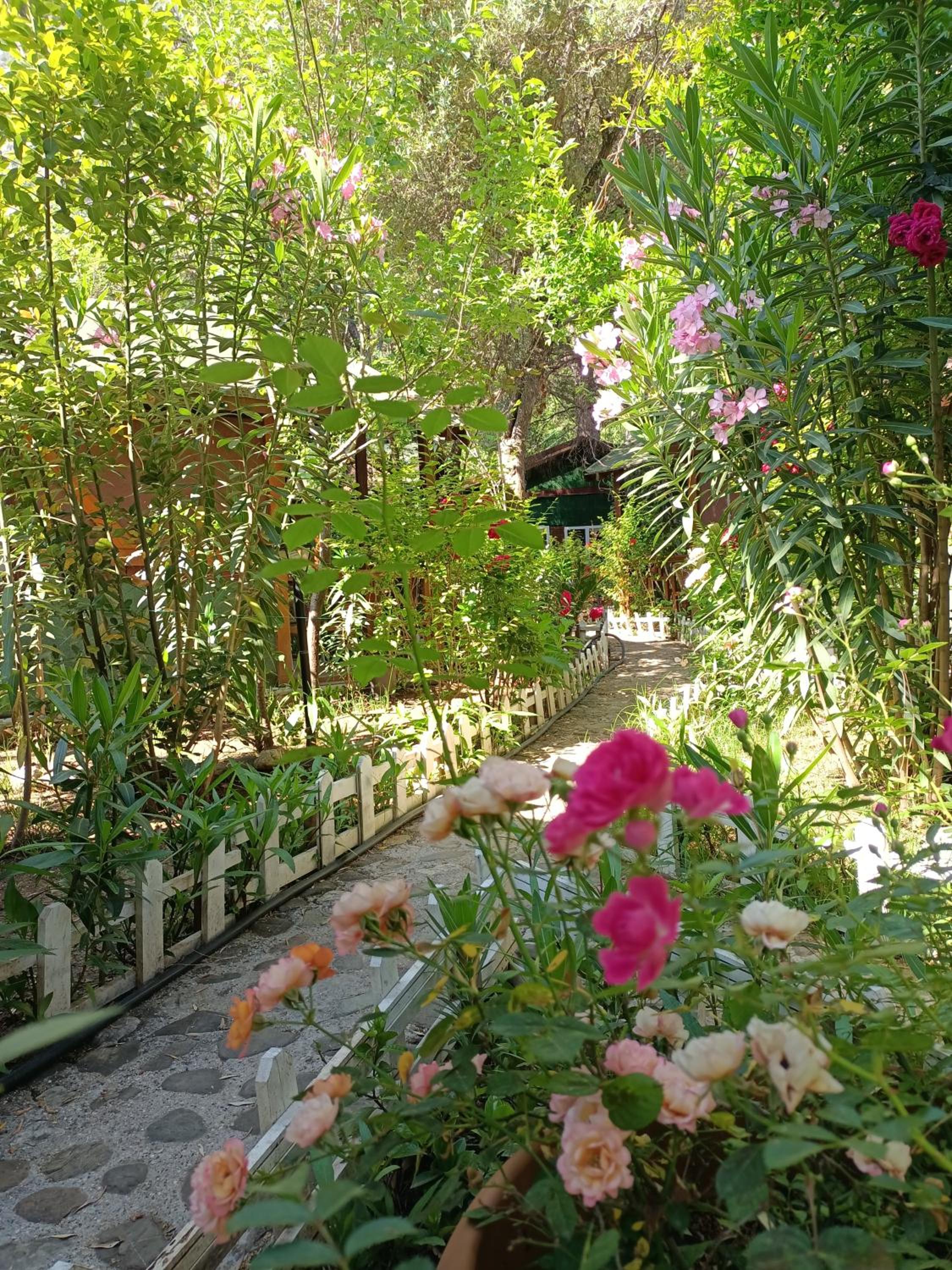 Canario Pension Bungalow 30/50