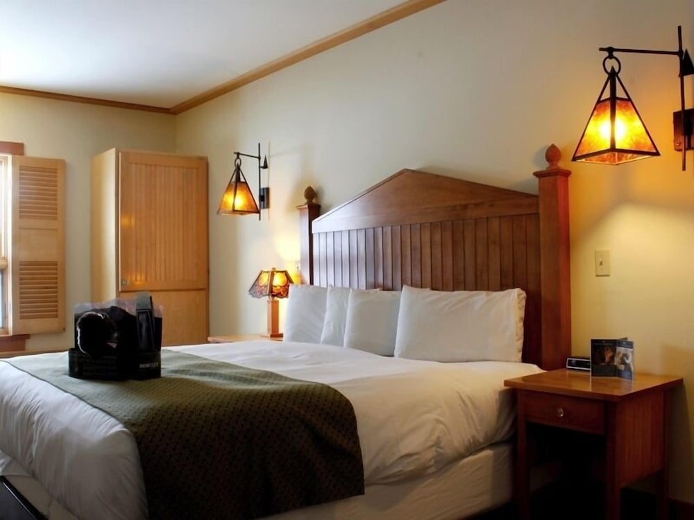 Old Faithful Snow Lodge & Cabins 19/37