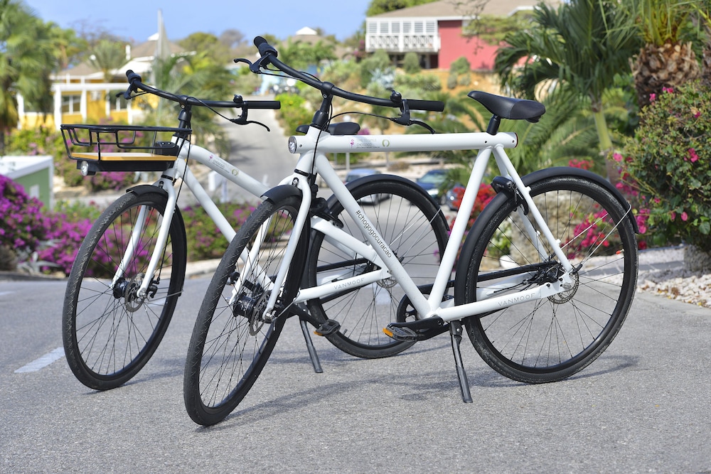 Chogogo Dive & Beach Resort Curacao 25/50