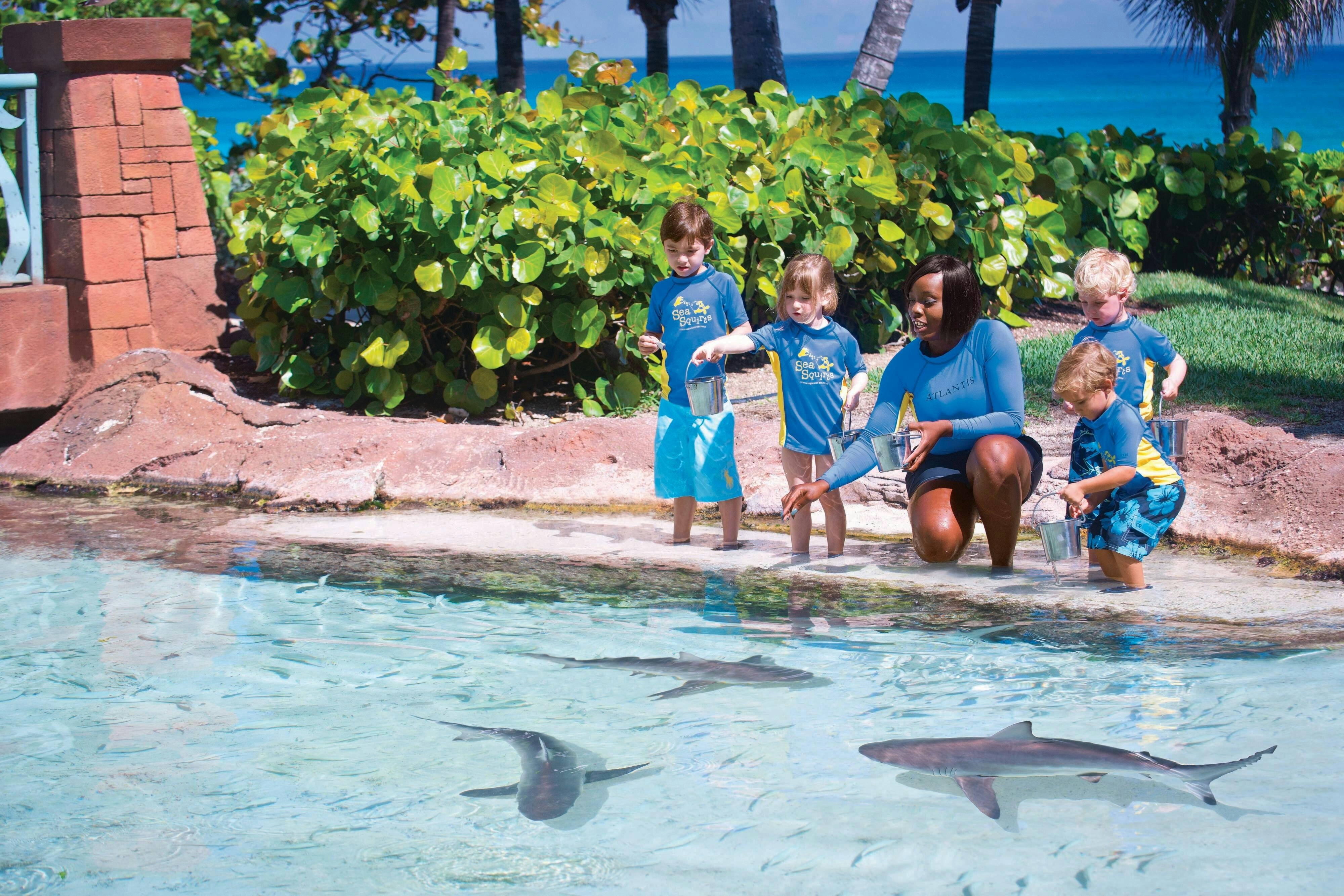 The Royal at Atlantis 30/78