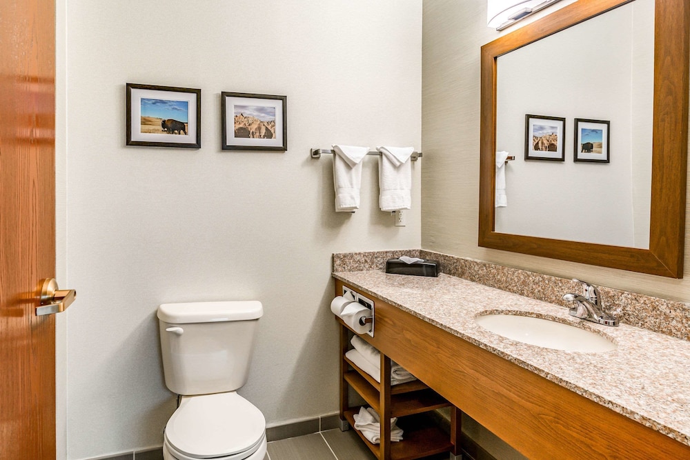 Comfort Inn & Suites Rapid City South - Mt Rushmore Gateway 64/66