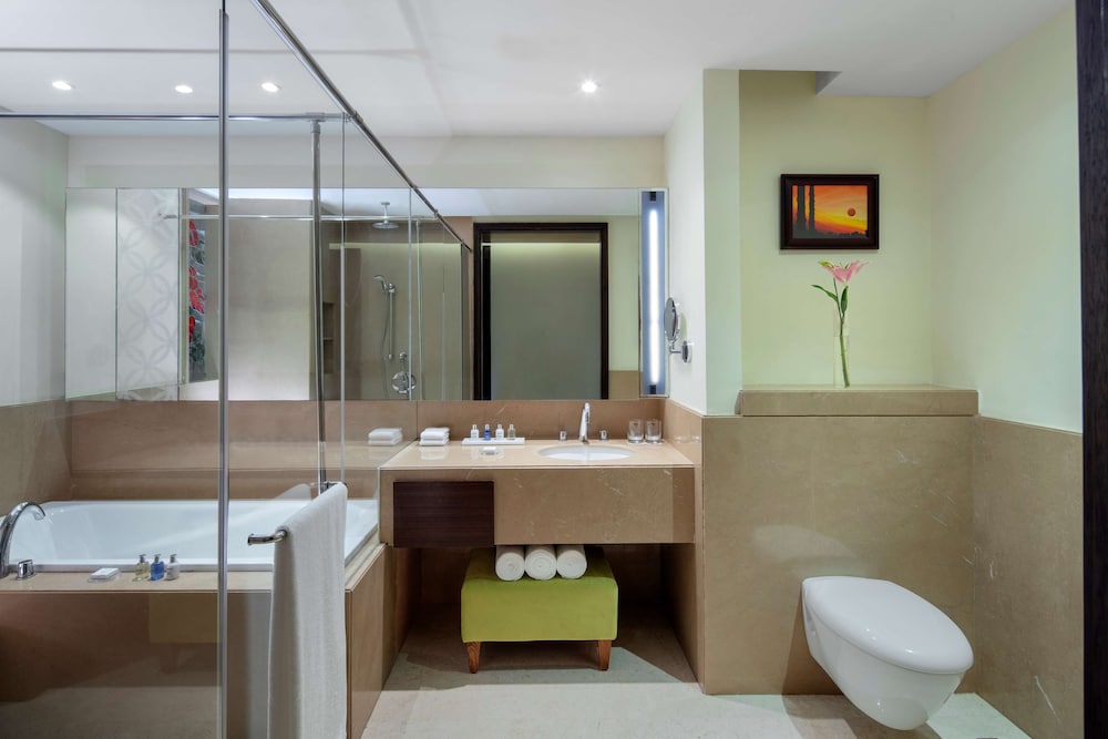 Radisson Blu Plaza Hotel Mysore 9/72
