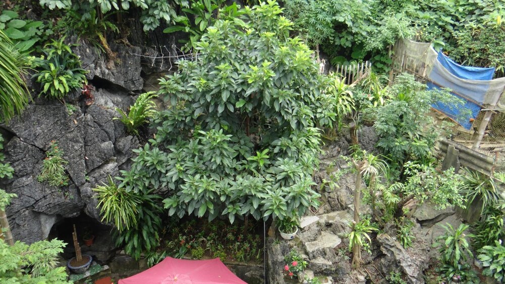 Huong Thao 2 Hotel 49/50