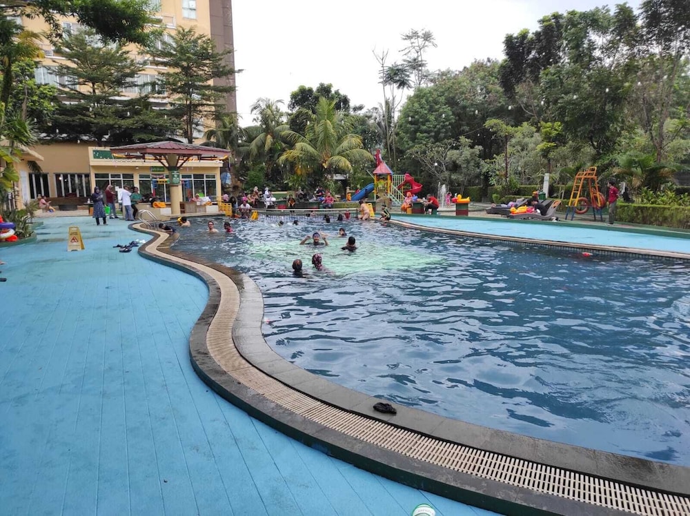 Lorin Sentul 47/53