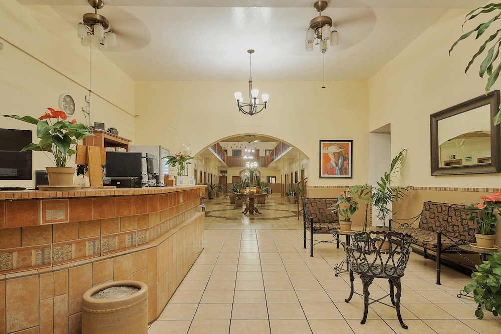Hotel Cervantino 11/50