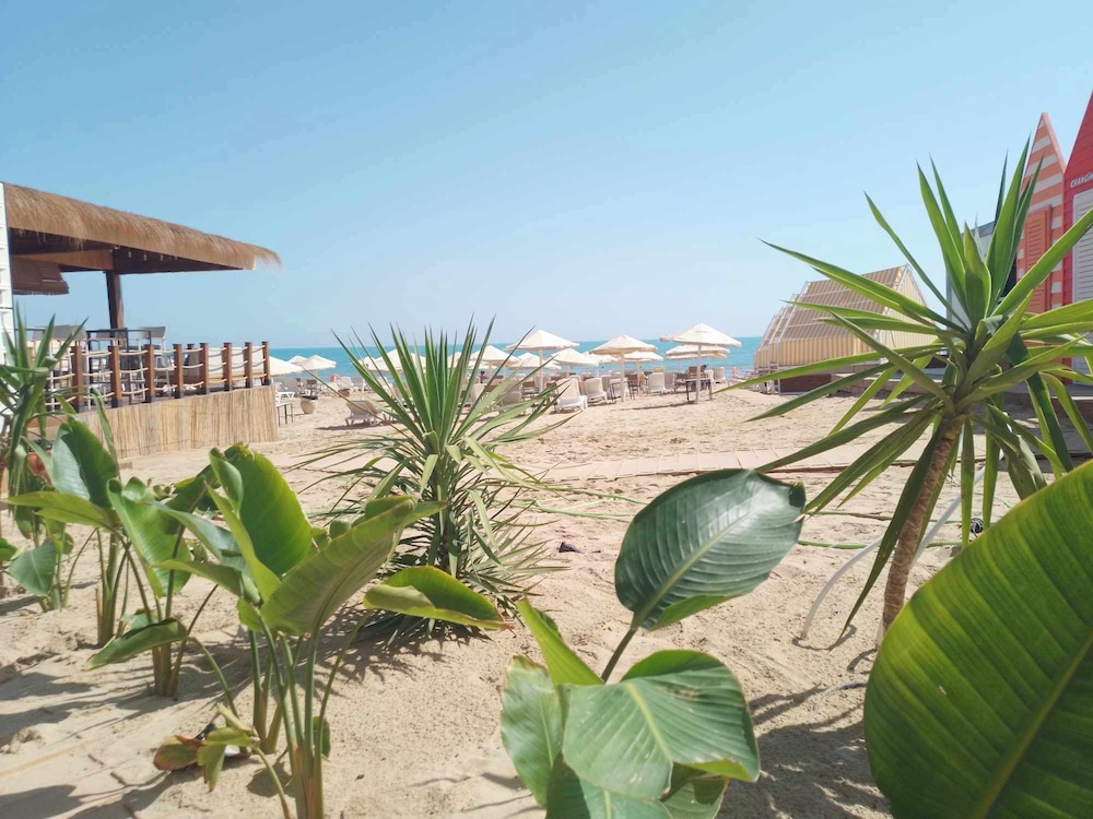 Carthage Thalasso Resort 67/73