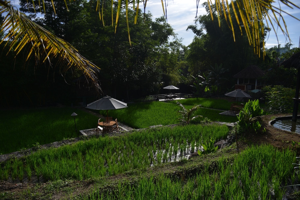 Padi Heritage Resort 23/32
