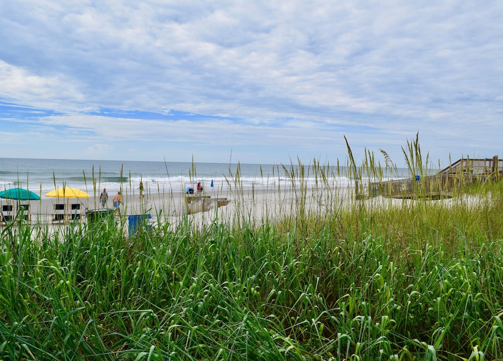 Ocean Forest Colony 48/54