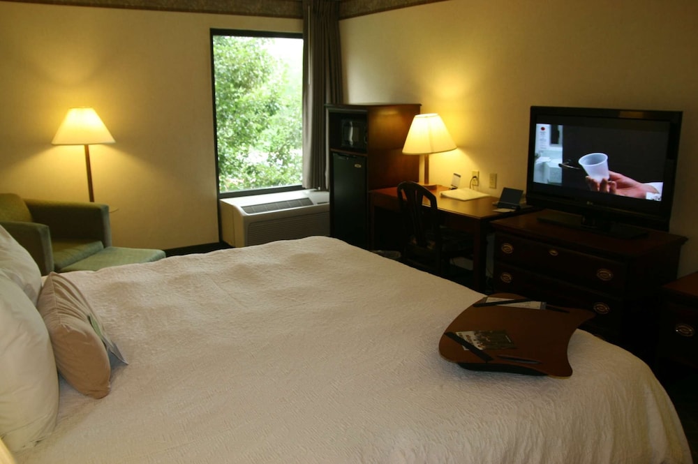 Hampton Inn Marietta 33/58