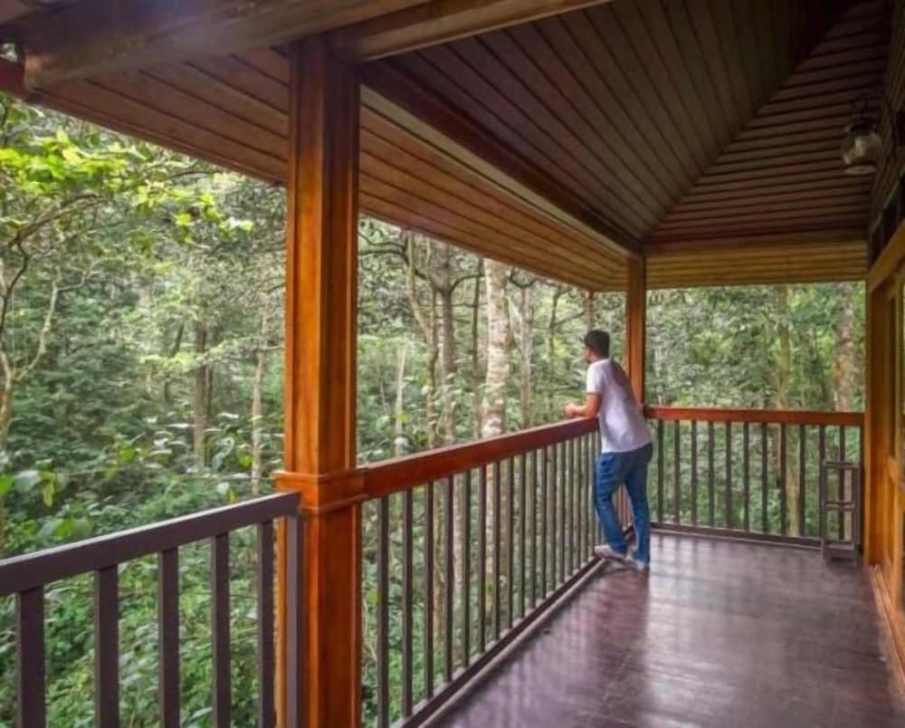 Wild Planet Jungle Resort 21/50