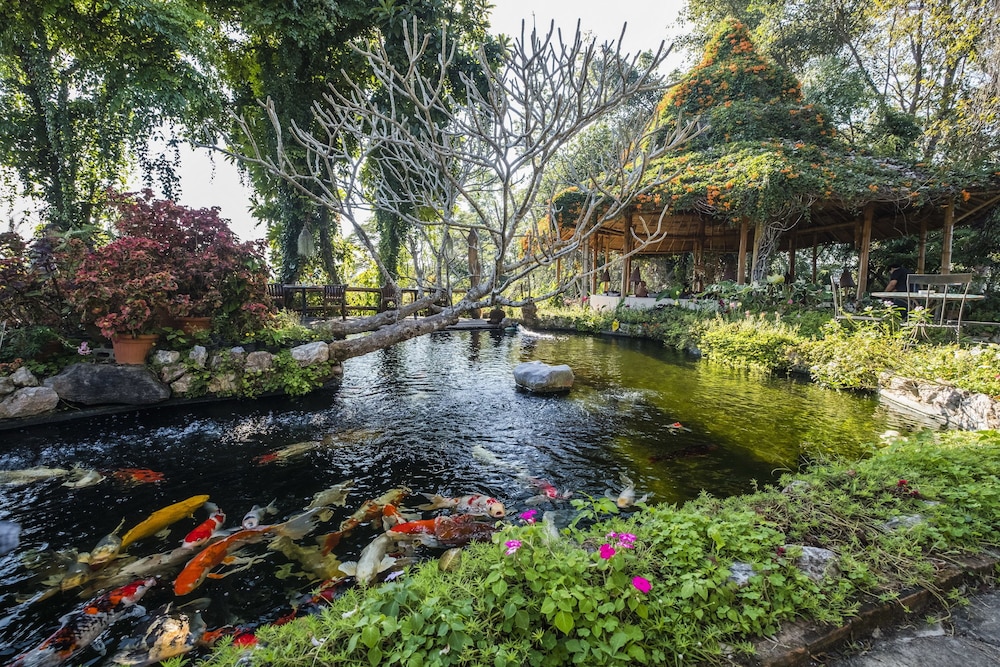 Phu Chaisai Mountain Resort 43/50
