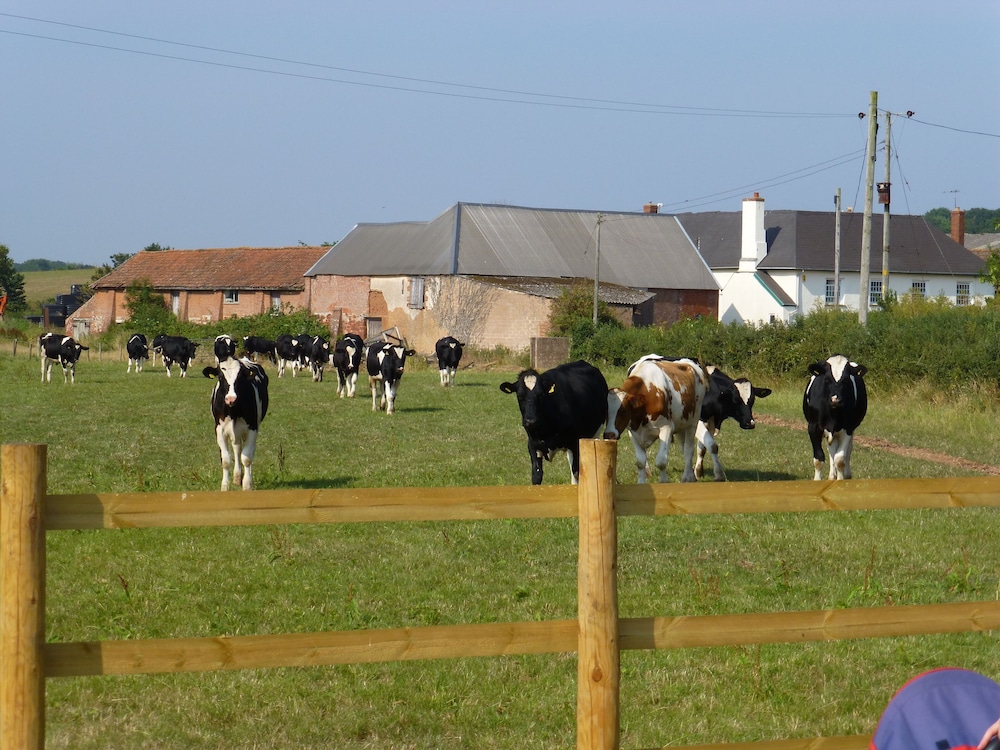 Courtbrook Farm 45/50