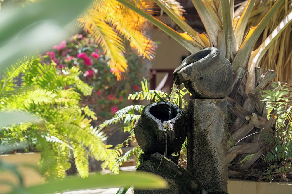 Bamboo Bonaire Boutique Resort 43/50