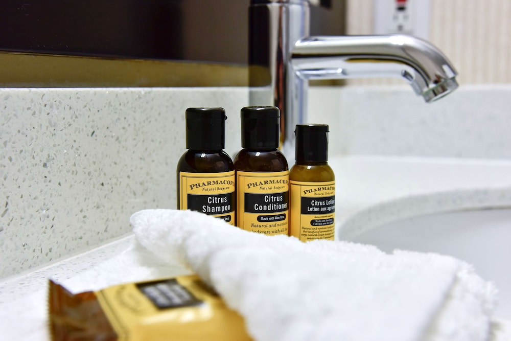 Best Western Plus Osoyoos Hotel And Suites 21/50