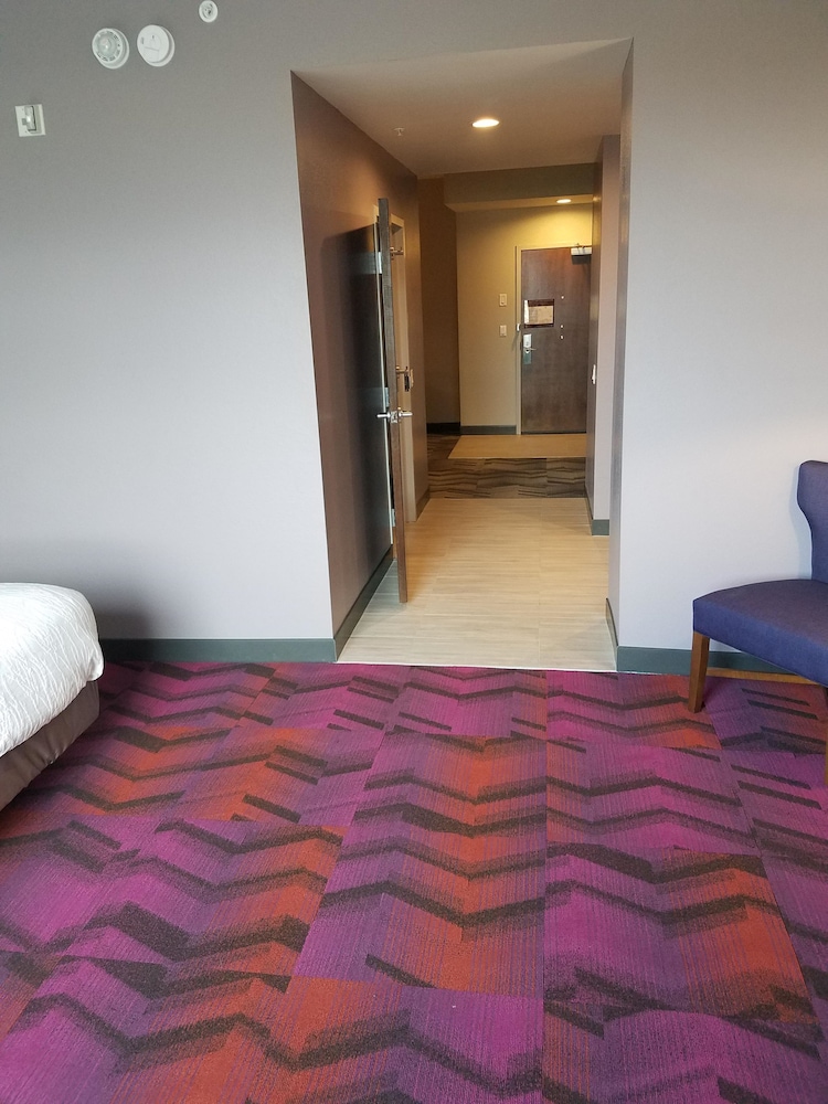 Hilton Garden Inn Tampa Suncoast Parkway 28/53