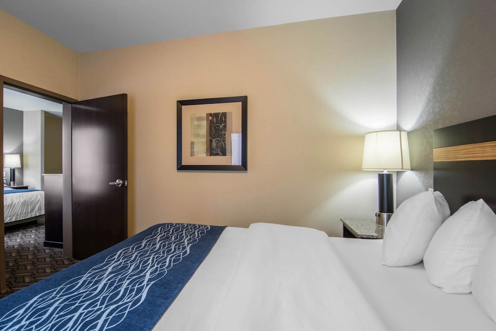 Comfort Inn & Suites Fort Saskatchewan 16/43