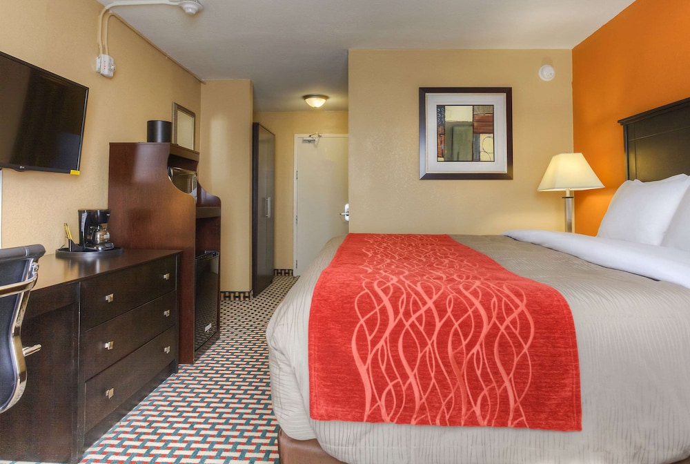 STANDARD, KING BED, ACCESSIBLE