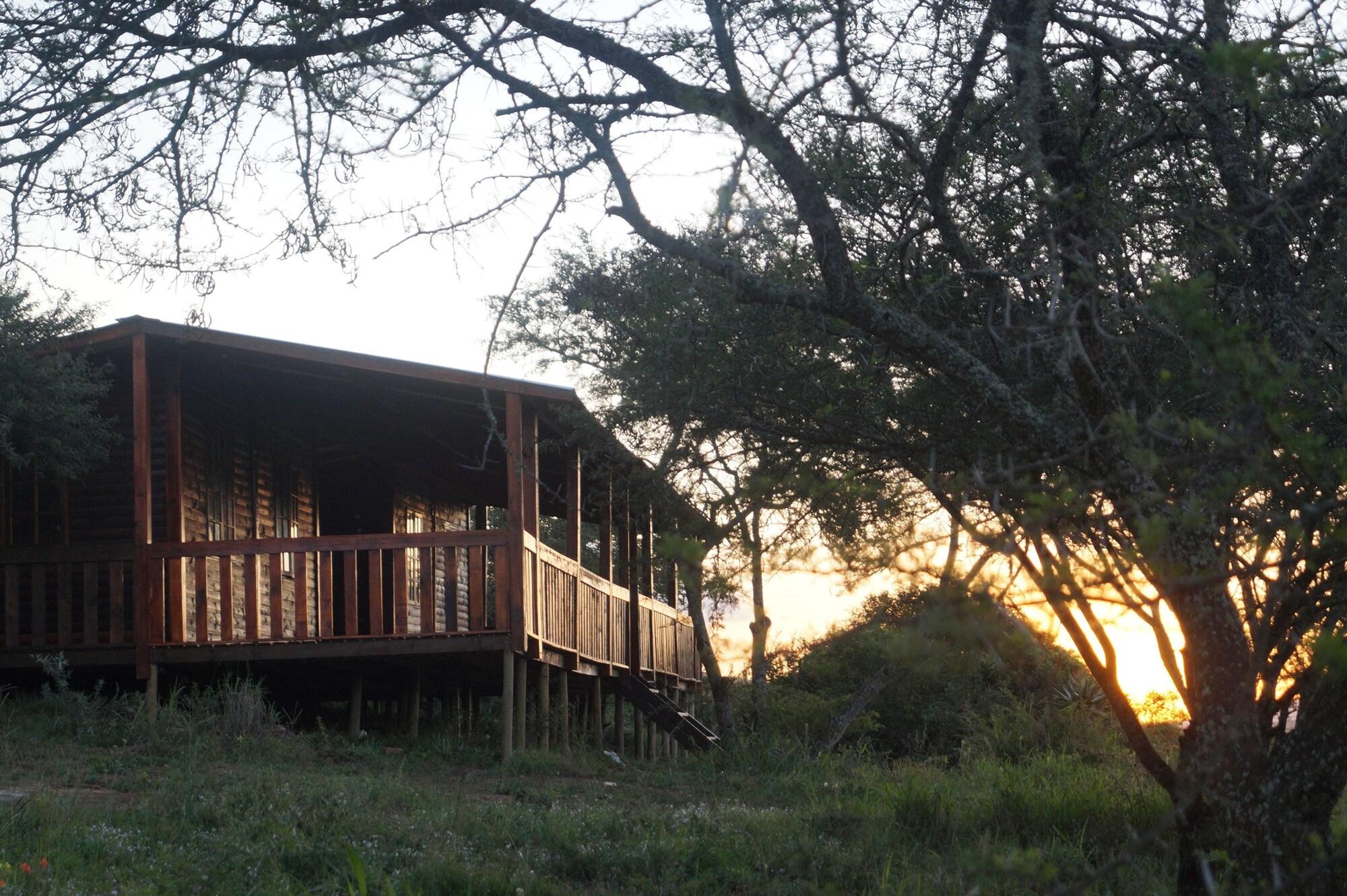 Pure Nature Familodge 5/100