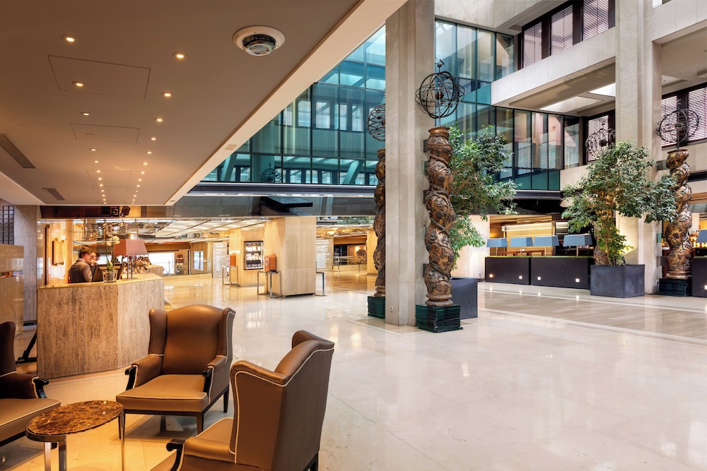 Melia Castilla Hotel 13/81