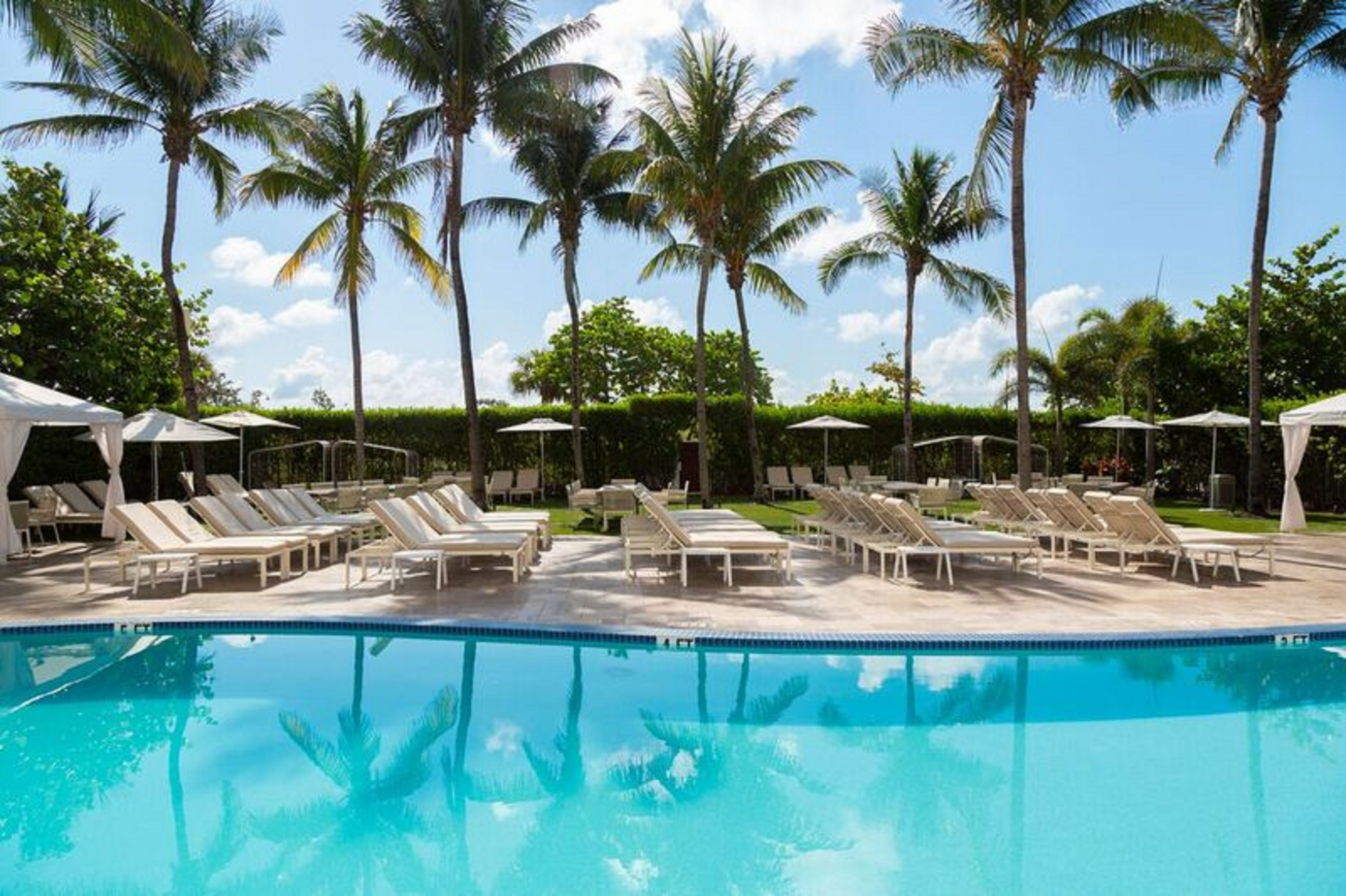 Hilton Bentley Miami South Beach Hotel 47/50