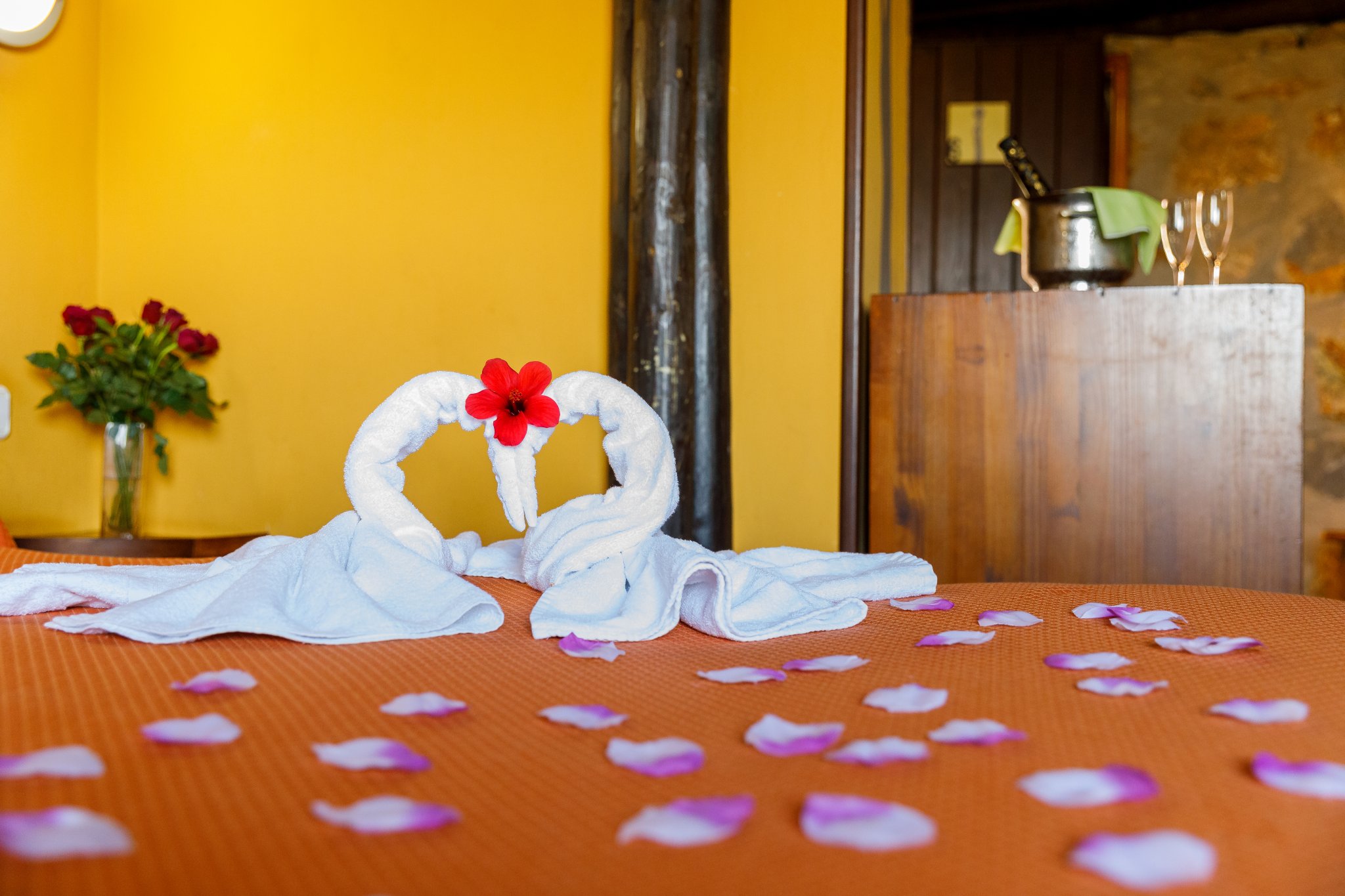 Hotel Selwo Lodge 13/50
