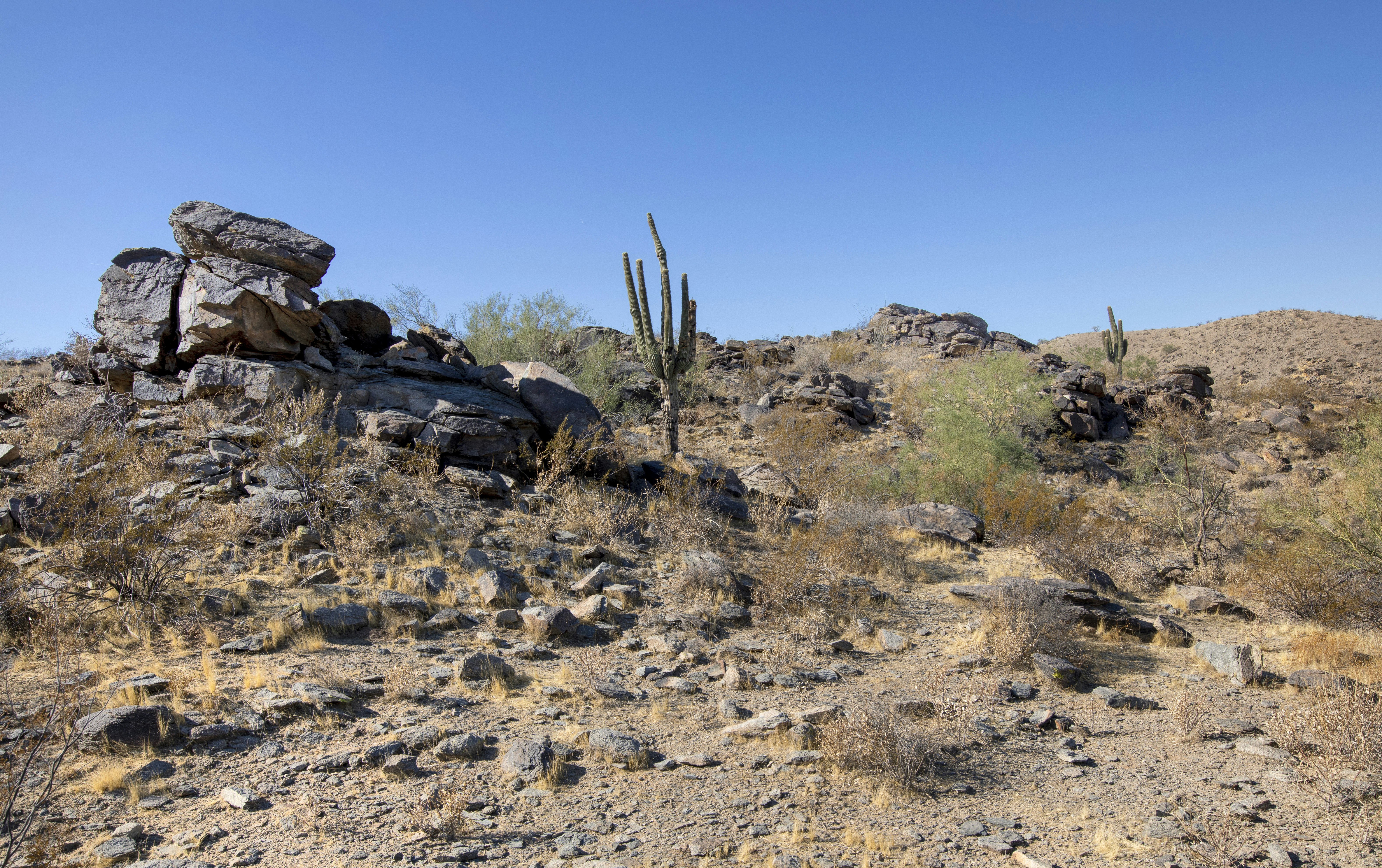 Worldmark Phoenix South Mountain Preserve 28/50
