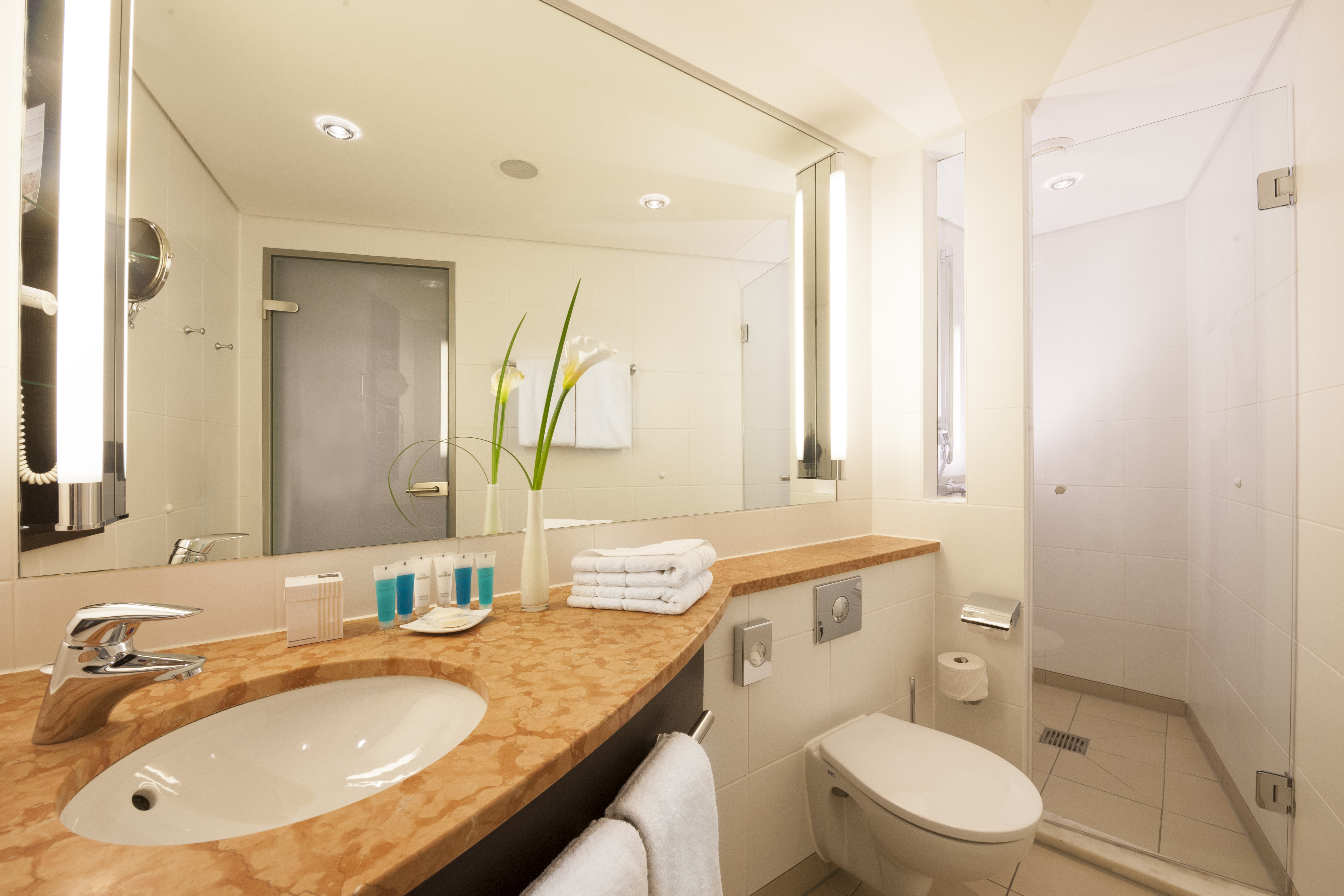 غرفة قياسية مفردة، Dorint Hotel An Der Kongresshalle 2/11