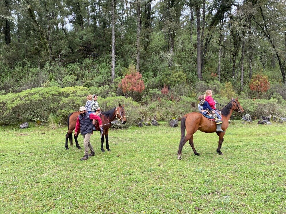 Hotel Rancho Viejo 33/48