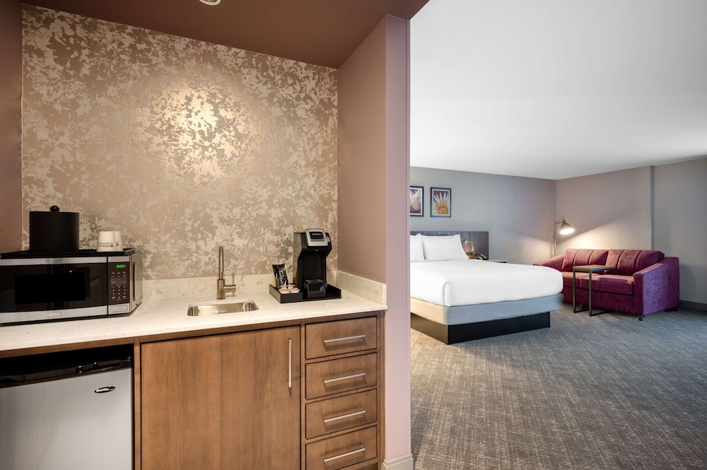 Hilton Garden Inn Boston Logan Airport 18/38