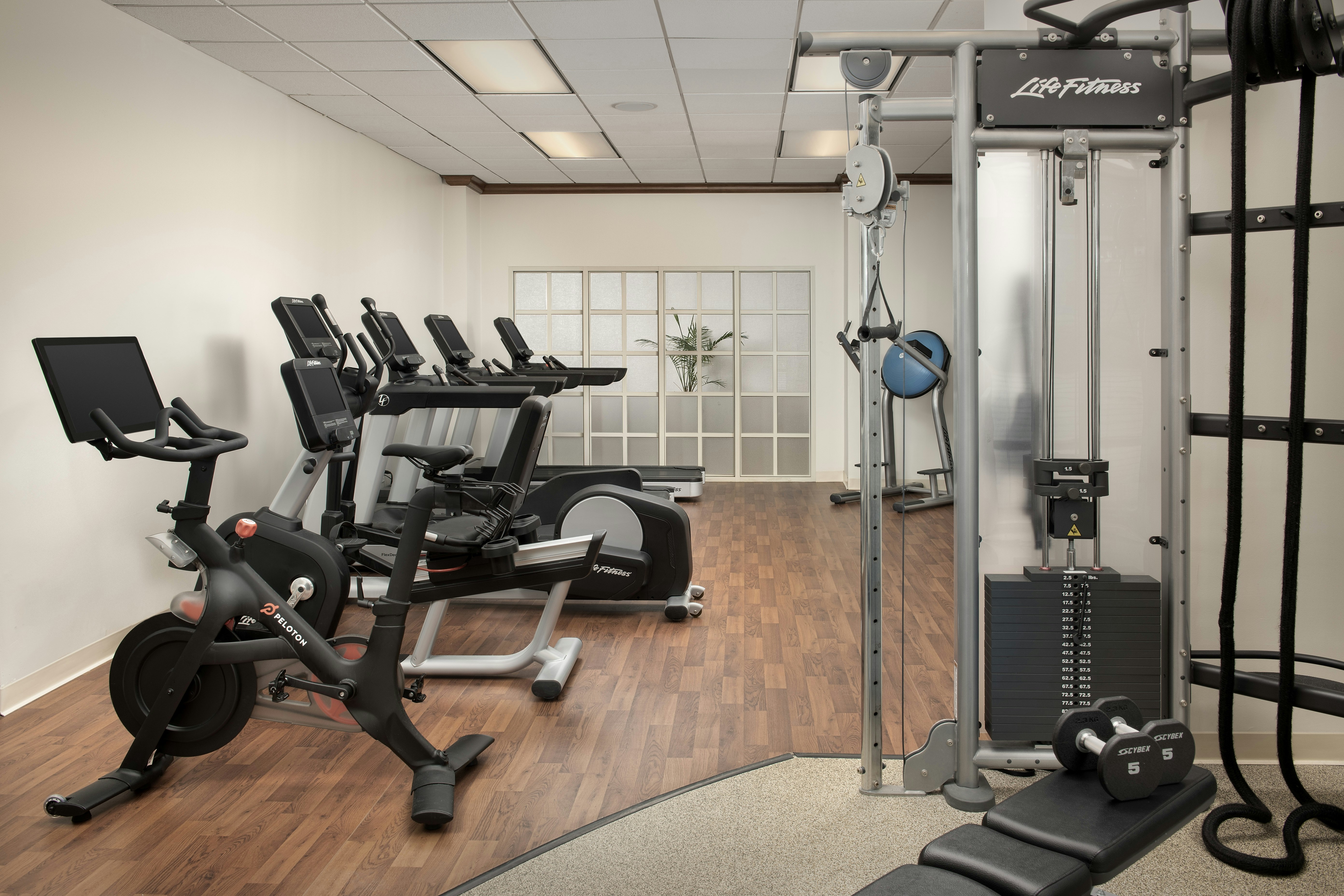 Embassy Suites by Hilton Dulles North Loudoun 25/58