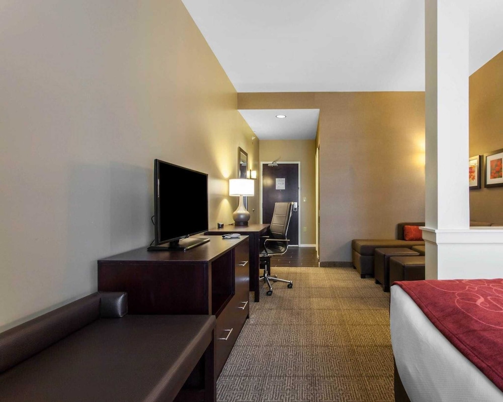 Comfort Suites Youngstown North 13/37