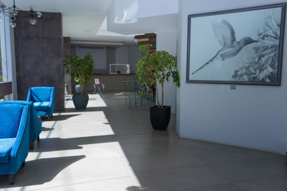 HOTEL CALACOTO 3/47