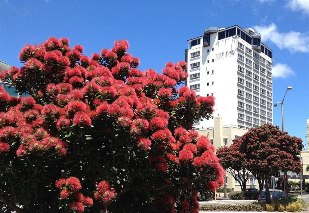 Bay Plaza Hotel 35/40