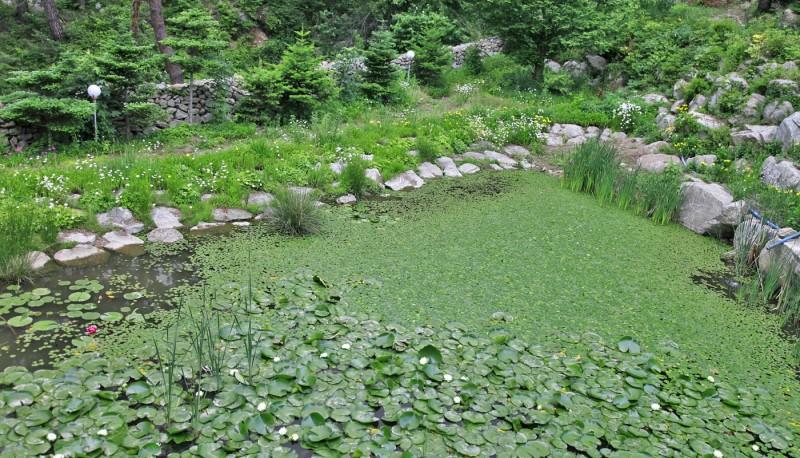 Hongcheon Yongso Valley Pension & Camping 6/11