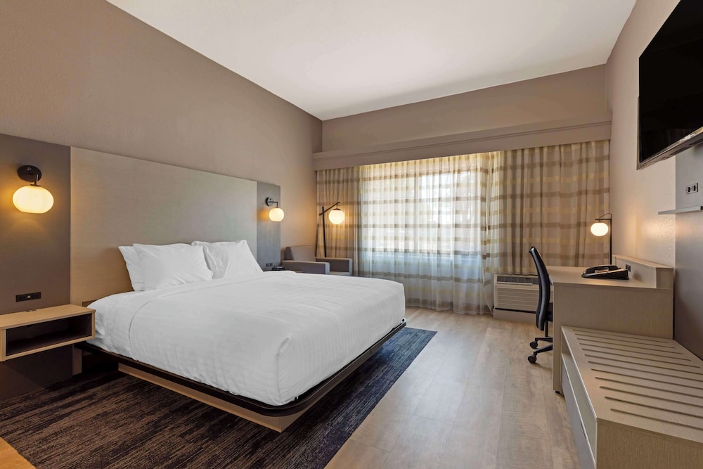 STANDARD, KING BED, ACCESSIBLE