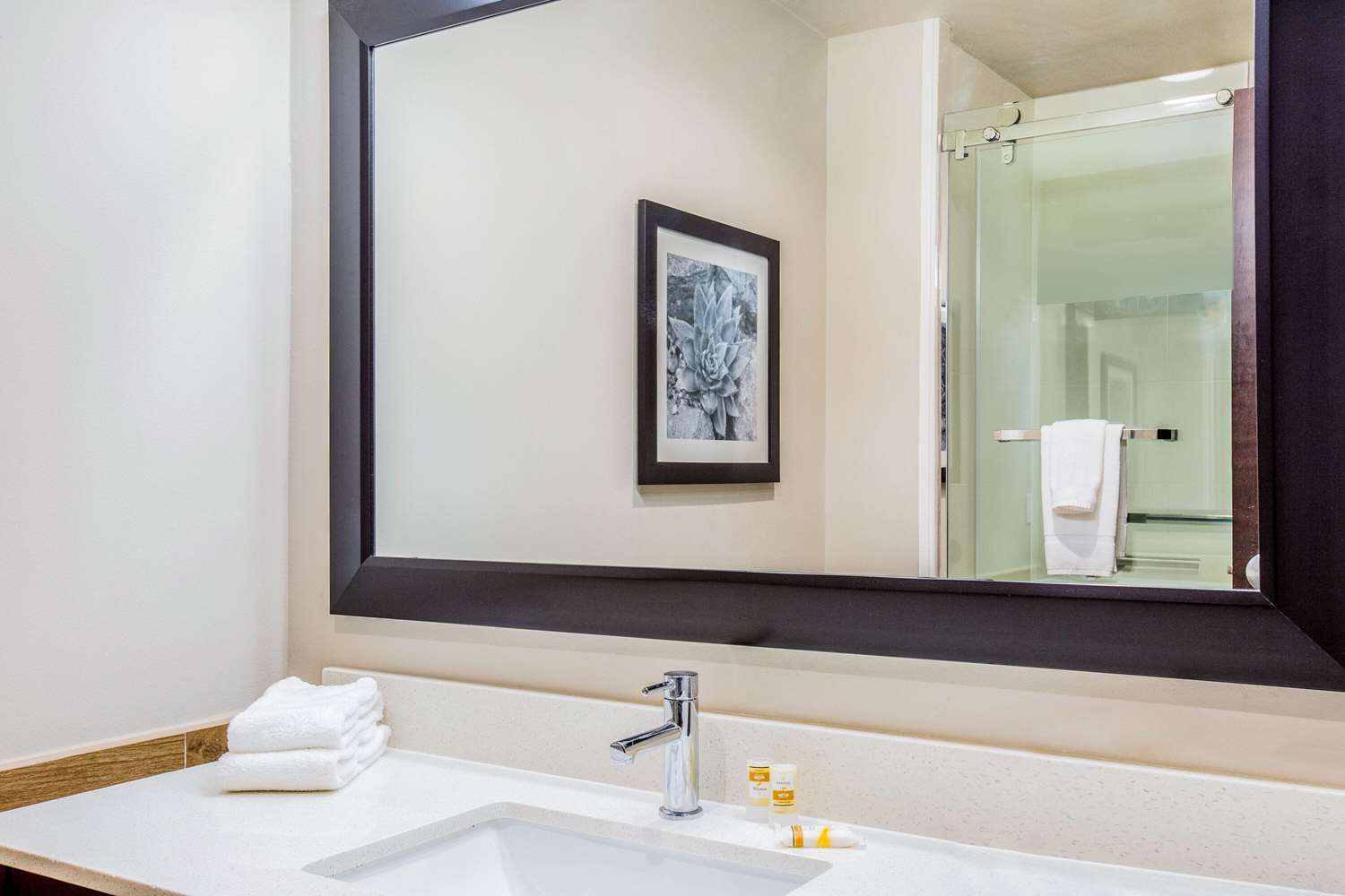 La Quinta Inn And Suites By Wyndham Mcallen Convention Center 56/56