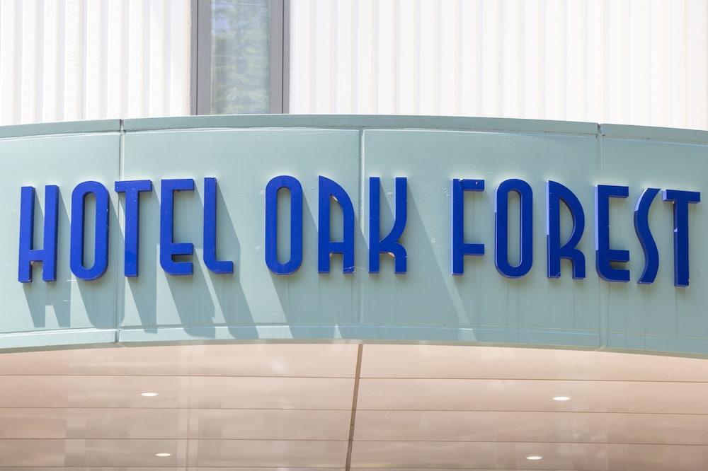 Oak Forest Hotel 23/46