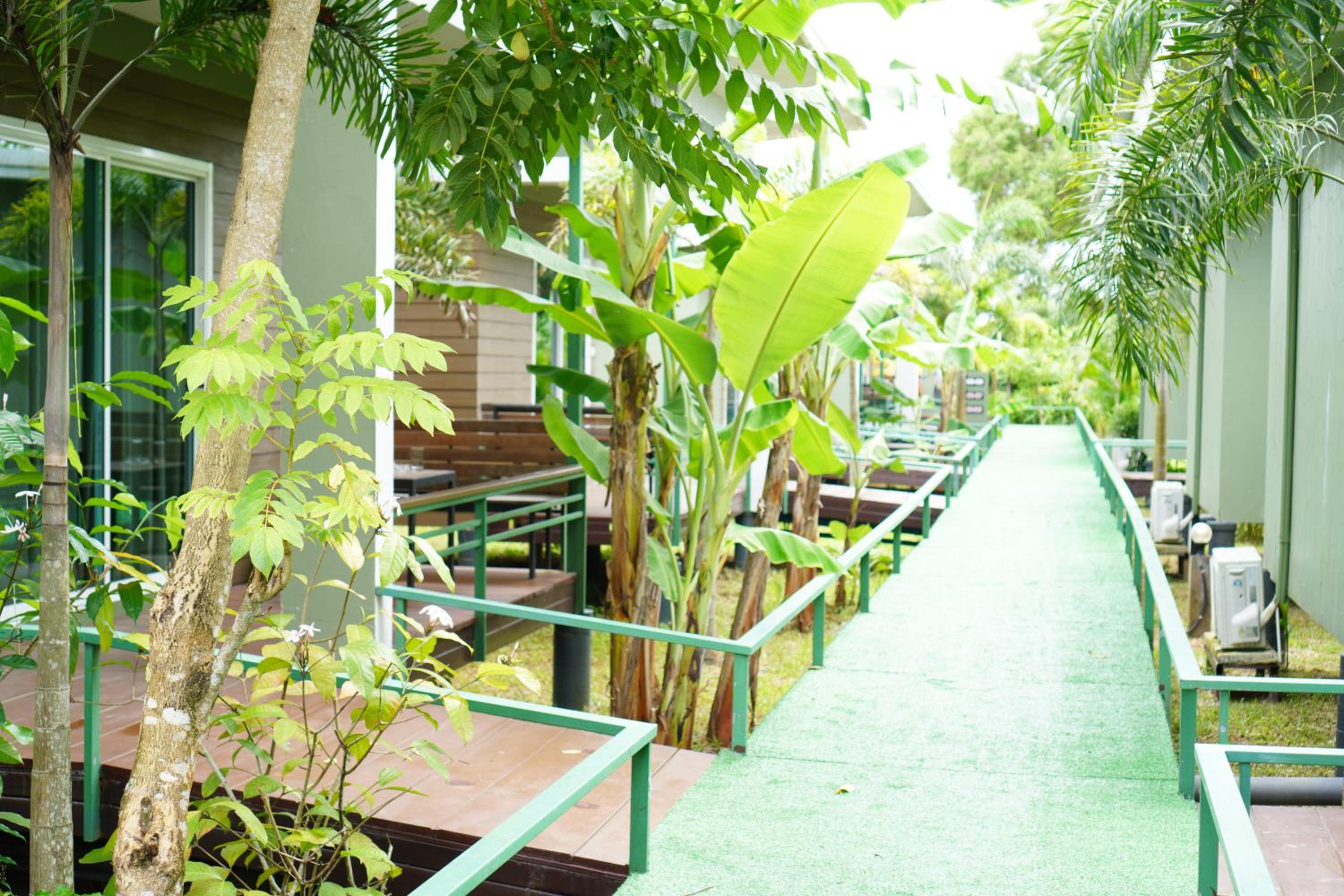 Green 2 48/50