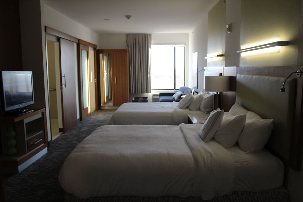 Suite, Multiple Beds, Accessible