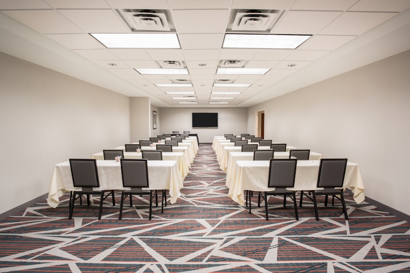 Hampton Inn Suites Denver Downtown 41/46