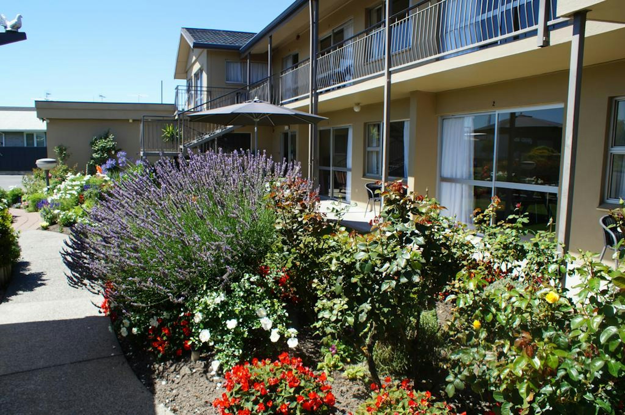 Taylors Motel 5/8