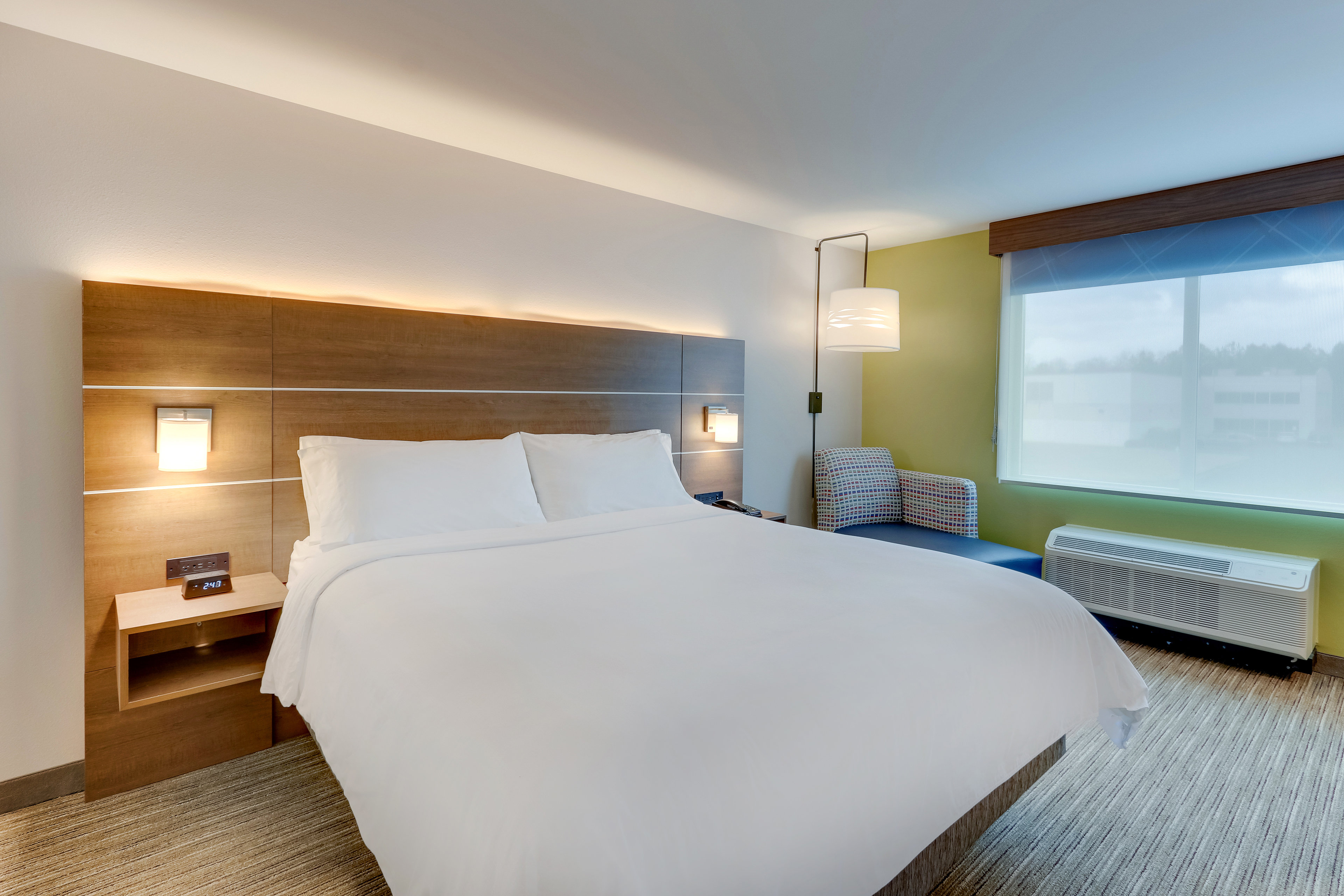 Holiday Inn Express and Suites Dawsonville 23/74