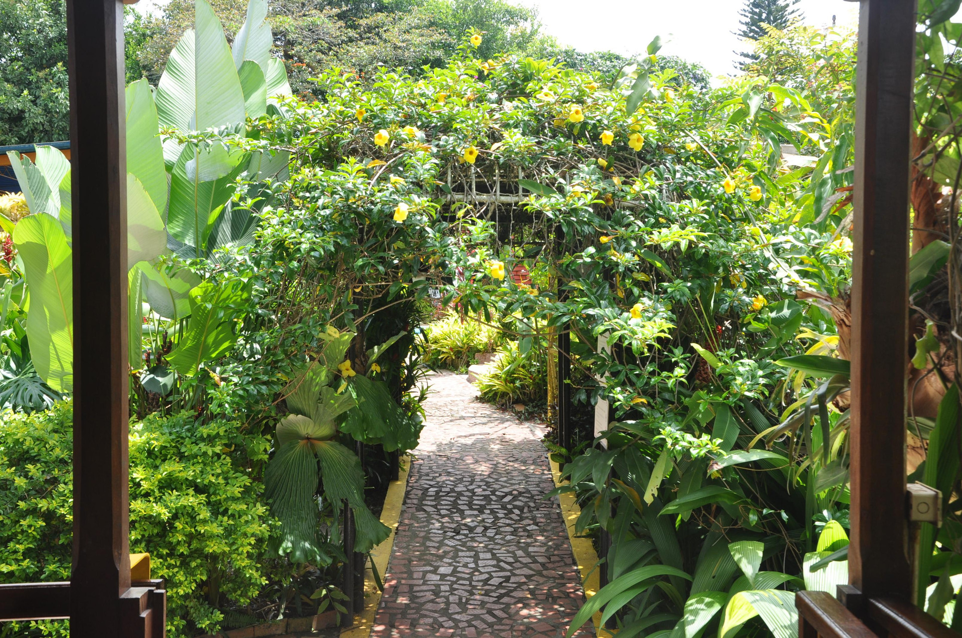 Finca Turistica Machangara 27/30
