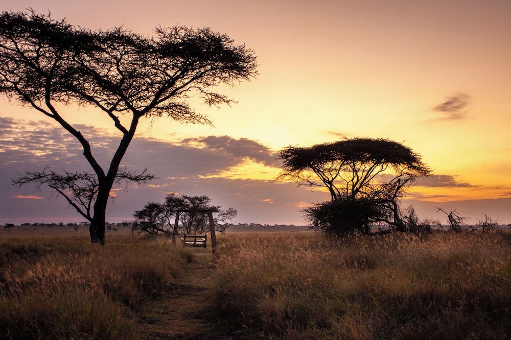 Mawe Luxury Tented Camp 42/50