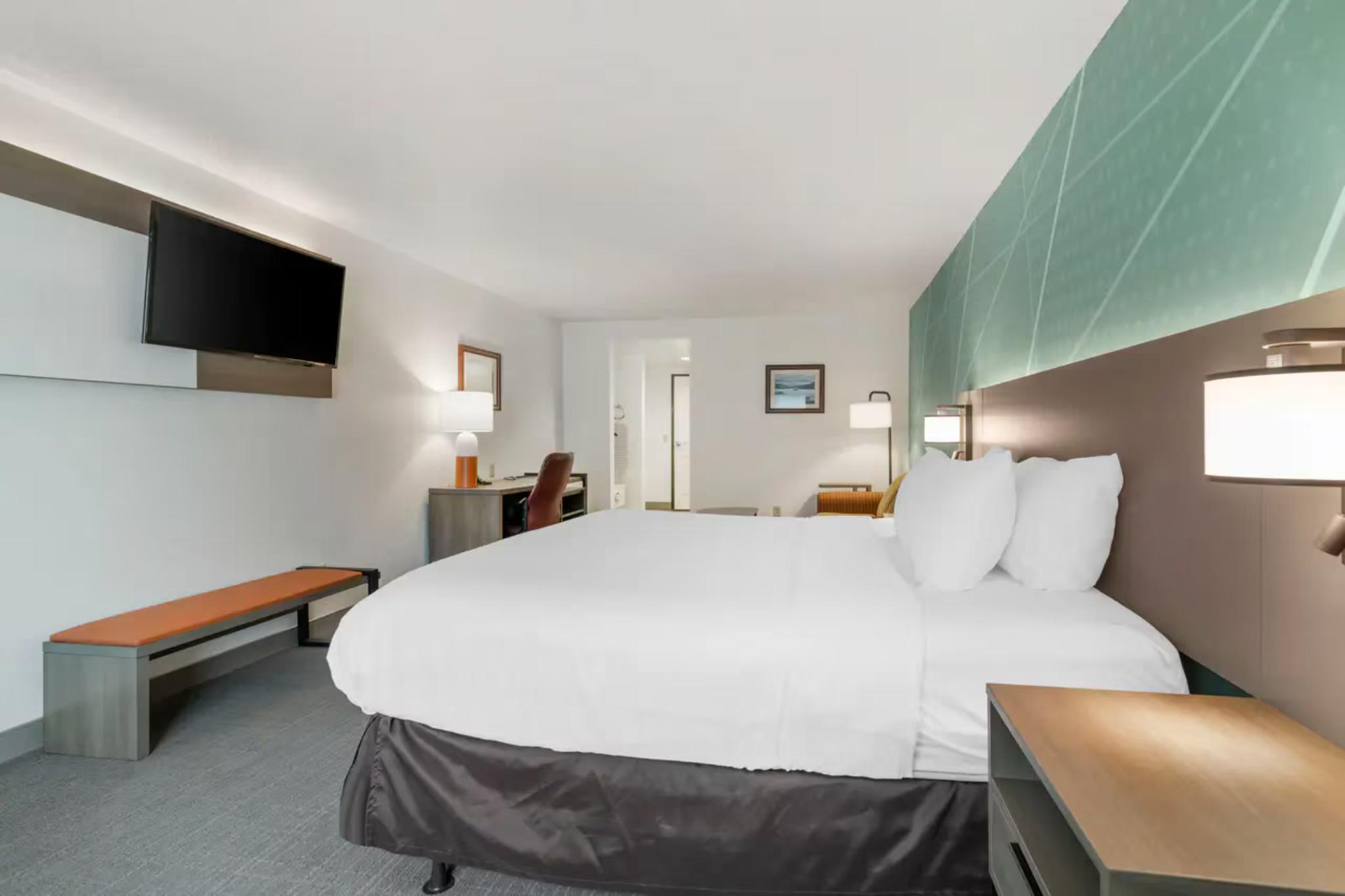 SUITE, KING BED