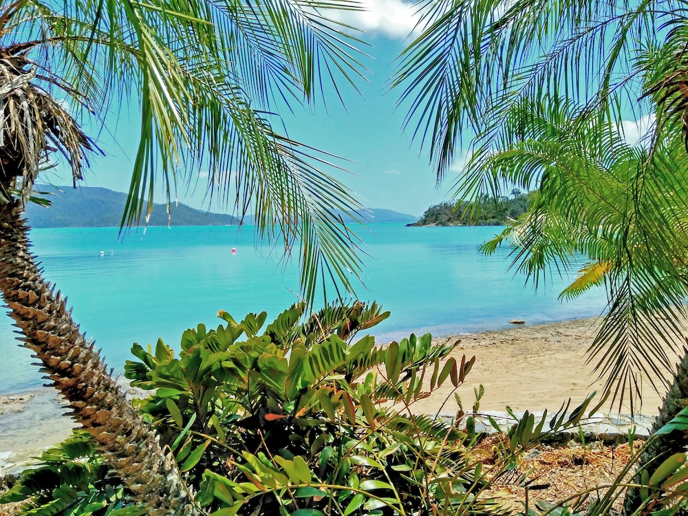 Palm Bay Resort (Adults Only 16+) 84/93