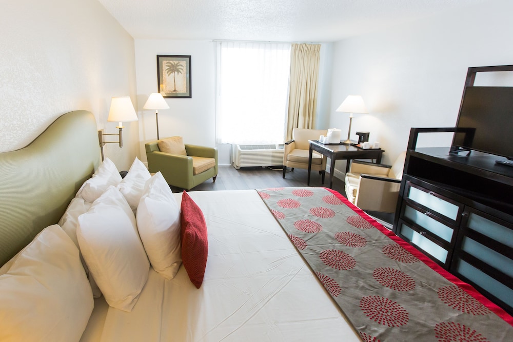 JUNIOR SUITE, KING BED