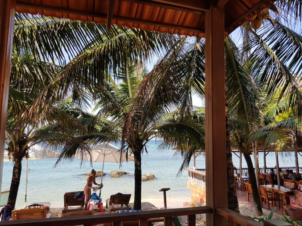 Free Beach Resort 46/50