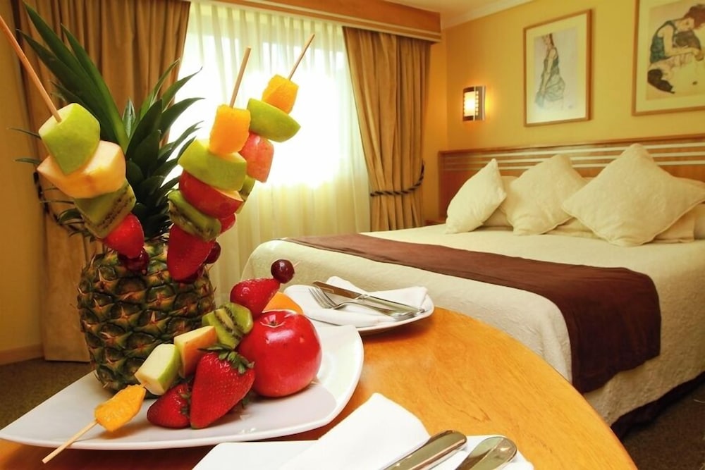 Hotel Ankara 17/50